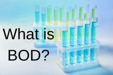 Biochemical Oxygen Demand (BOD)