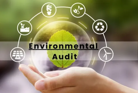 environmental audit